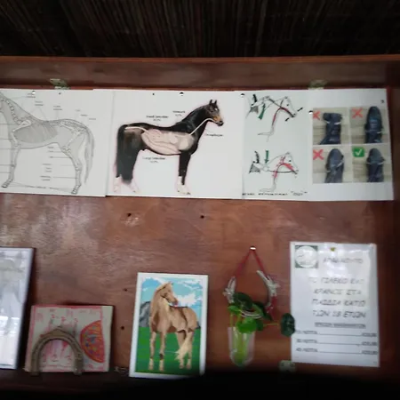 Holiday home Mersinera Paradise Garden Noah House *