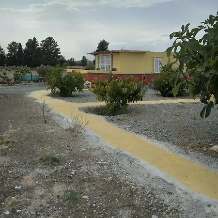 Mersinera Paradise Garden Noah House Kivisil