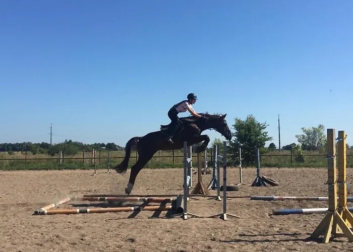 Mersinera Paradise Garden Noah House *