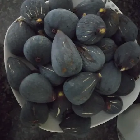 Сasa de vacaciones Mersinera Paradise Garden Noah House *