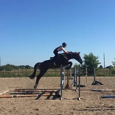 Mersinera Paradise Garden Noah House *